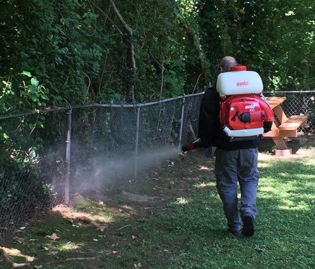 mosquito-control-services-dave